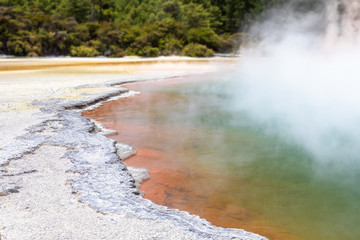 hot sparkling lake in New Zealand 