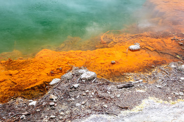 hot sparkling lake in New Zealand 