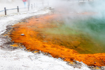 hot sparkling lake in New Zealand