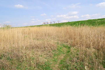 春の河川敷風景