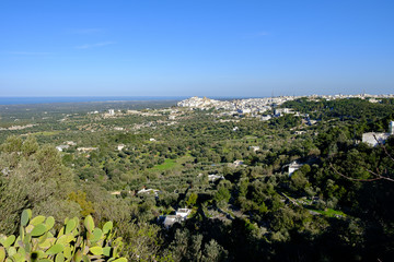 Blick auf Ostuni mit Olivenbaumplantagen