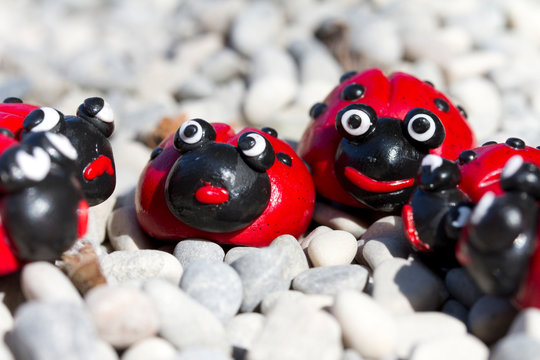 Discussion in a group of ladybugs