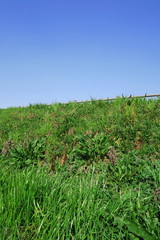 春の放水路土手風景