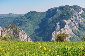 springtime scenery of romania countryside.  grassy rural fields on hills. gorge with cliff in the distance. beautiful sunny day 
