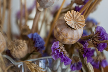 Poppy boxes, dry violet flowers and gold spike. Still life