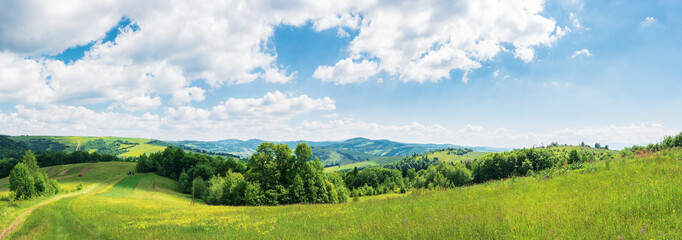 panorama of beautiful countryside in summer. wonderful landscape in mountains. rural fields and grassy meadows. road down the hill in to the  distant valley through forest. clouds on the blue sky
