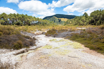 geothermal activity at Rotorua in New Zealand
