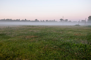 Green meadow in the summer morning with fog. Sunrise