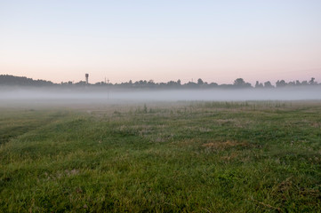 Green meadow in the summer morning with fog. Sunrise