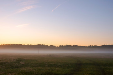 Naklejka na ściany i meble Green meadow in the summer morning with fog. Sunrise