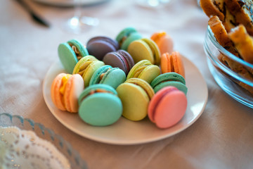 Set of color Macaroon in a plate.