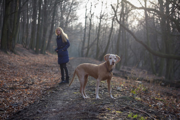 woman walking dog in forest