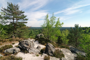 Fototapeta na wymiar Hills and rocks in Fontainebleau forest