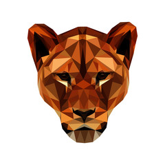 Low poly illustration of a lion's head