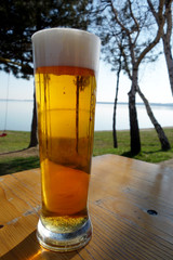 Beer in a glass on a table in nature