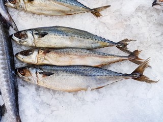  Many fresh sea fish are sold at seafood restaurants.39