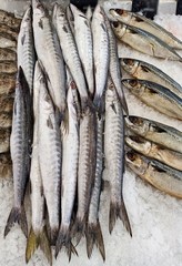  Many fresh sea fish are sold at seafood restaurants.37