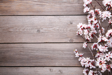 Spring blooming branches on grey wooden background.