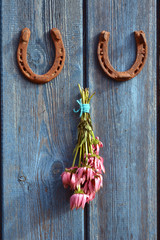 rusty horseshoe and Echinacea medical flower bunch on blue wooden wall