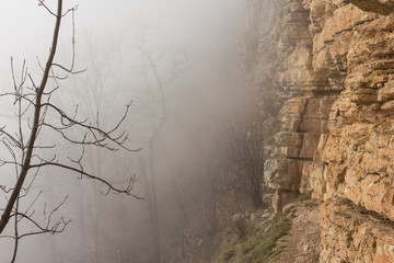 trees and rock cliff in the mist, hiking in Mezmay
