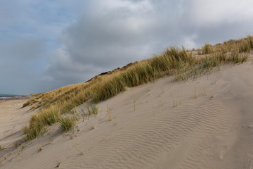 Fototapeta na wymiar View to Domburg Beach Dunes at Springtime / Netherlands
