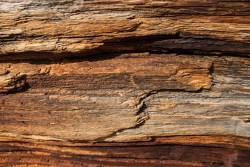 DEAD AND EROSIONED PINE TRUNK, CURVES, HOLES, KNOTS AND DIFFERENT COLORS IN HIS WOOD