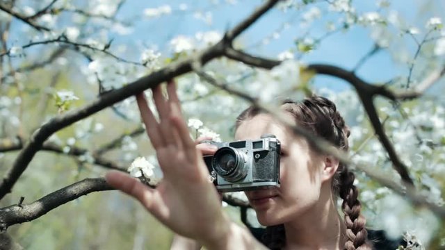 woman make a photo of blossom apple tree in the part at spring.