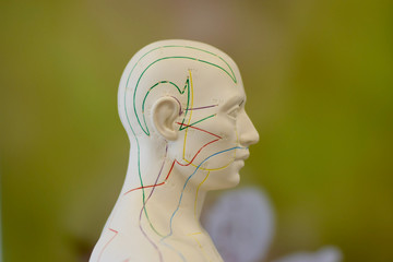 tcm acupuncture puppet detail meridian green background