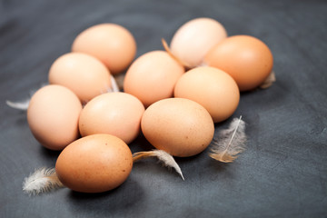 Farm chicken eggs and feathers