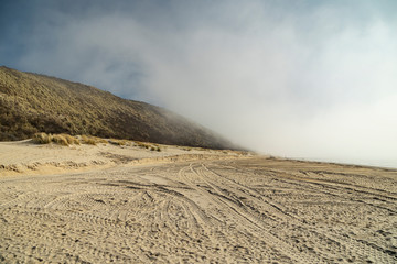 Foggy View at Zoutelande Beach with high Dunes/ Netherlands