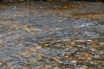 The reflection of the water surface with natural brown stones on the bottom is a lot of background.soft focus.