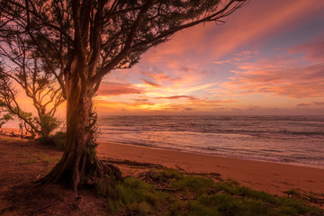 Coconut Beach