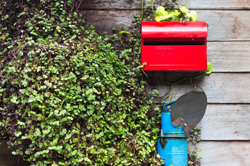 red mailbox on wooden house wall with leaf - 259910785
