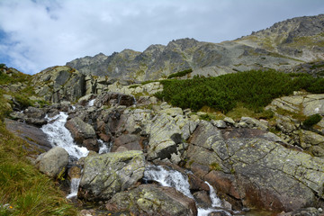 High Tatras - Mlynicka dolina © huspi