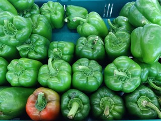 Obraz na płótnie Canvas Colorful peppers On the plate to make Thai food36