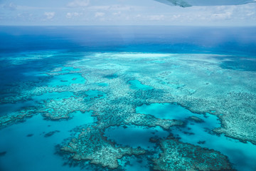 Rundflug über das Great Barrier Reef mit tollen Eindrücken des Riffs aus der Luft