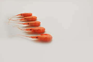 Top view of shrimps isolated on white background