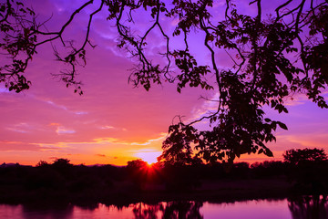 sunset beautiful colorful landscape and silhouette tree  reflex water river in sky twilight time with copy space add text
