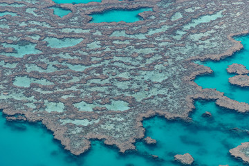 Fototapeta na wymiar Rundflug über das Great Barrier Reef mit tollen Eindrücken des Riffs aus der Luft