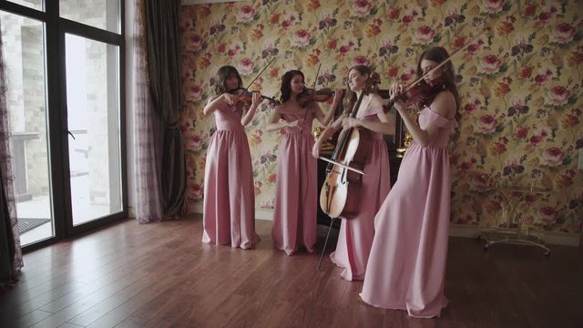 Pretty female quartet charismatically playing on stringed instruments in room