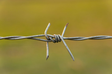 Barbed wire with blur nature background with copy space