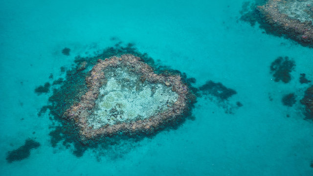 Das Heart Reef ist bekannt dafür, dass es ein Riff in Herzform mitten im Great Barrier Reef ist