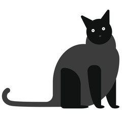 Black cat flat illustration on white