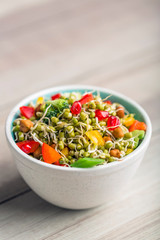sprouted lentil salad