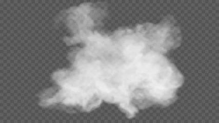 Poster Transparent special effect stands out with fog or smoke. White cloud vector, fog or smog © shacil