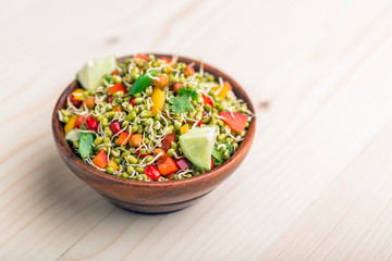 sprouted lentil salad