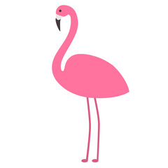 flamingo flat illustration on white