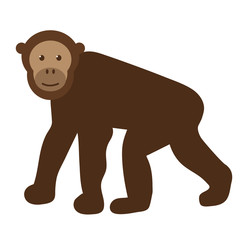 chimpanzee flat illustration on white