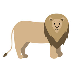 male lion flat illustration on white