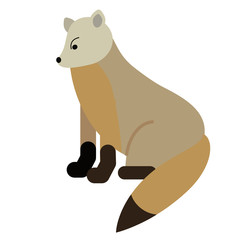 polar fox flat illustration on white